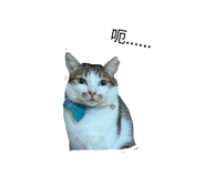 861636579