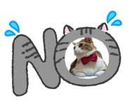 861636588