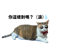 861636602