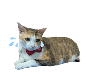 861636603