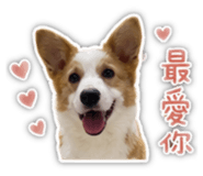 861642829