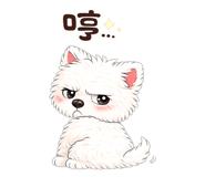 861643997