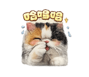 861645231