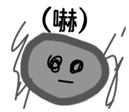 861646557