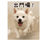 861651333