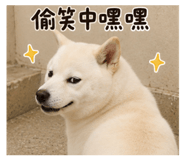 861651367