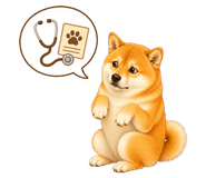 861673941