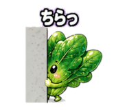 861697933