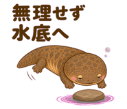 861699484