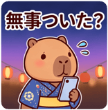 861715553