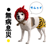 861715864