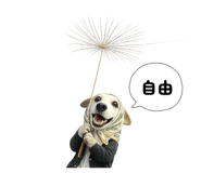 861715879