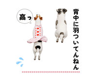 861715884