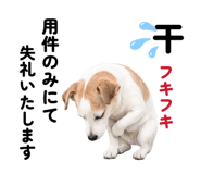 861715885