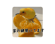 861734207