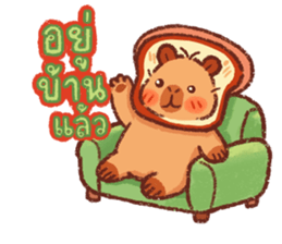 คาปิบาร่า ปังปัง รูปที่ 18