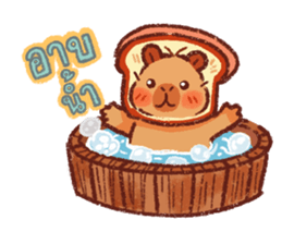 คาปิบาร่า ปังปัง รูปที่ 24