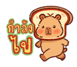 คาปิบาร่า ปังปัง รูปที่ 30