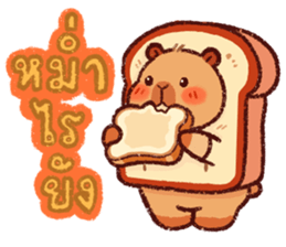 คาปิบาร่า ปังปัง รูปที่ 37