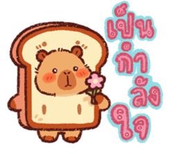 คาปิบาร่า ปังปัง รูปที่ 40