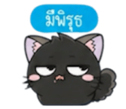 861744491