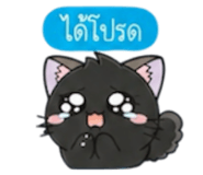 861744500