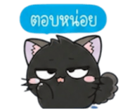 861744504