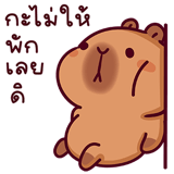 861745294