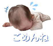 861747384