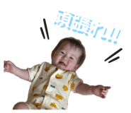 861747387