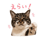 861749949