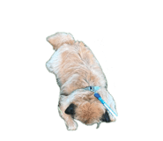 861750066