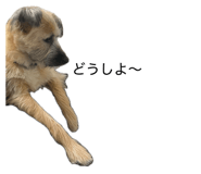 861750078