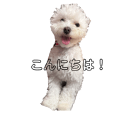 861752397