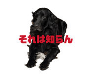 861753676