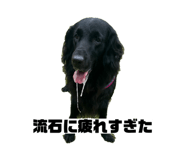 861753678