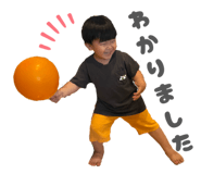 861753815