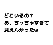 861753868