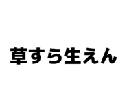 861753876