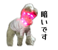 861758198