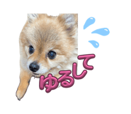 861760018