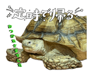 861761229