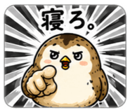 861761247