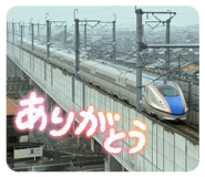 861761381