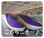 861761401