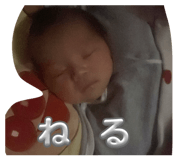 861761491