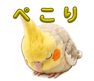 861762795