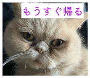 861816998