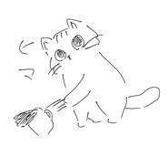 861817676