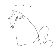 861817681
